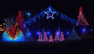 Christmas Lights 02