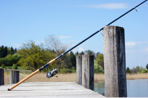 length of fishing rod matters